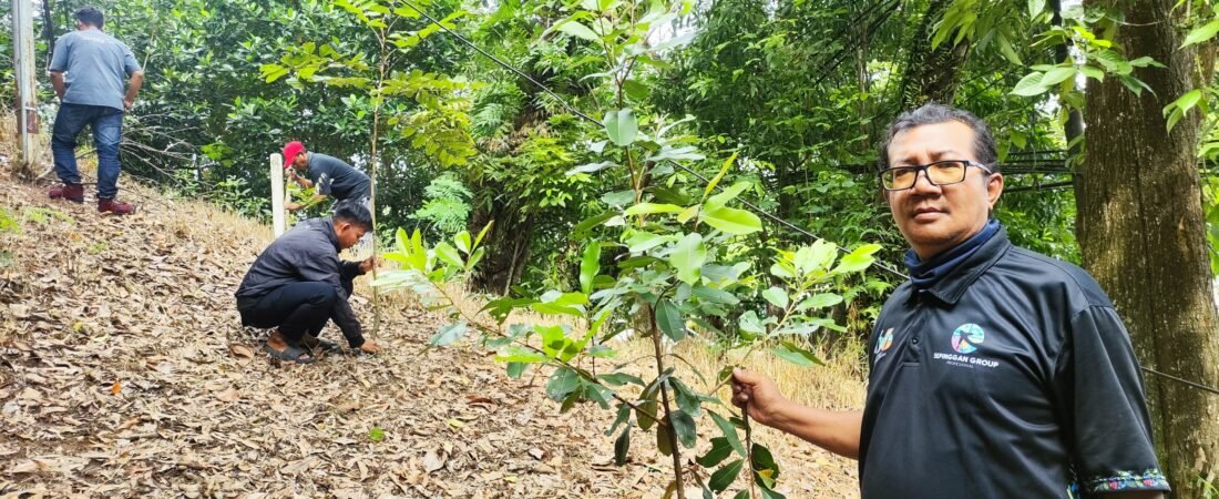 Laporan Monitoring KEHATI Hutan Kota Sepinggan Tahun 2024