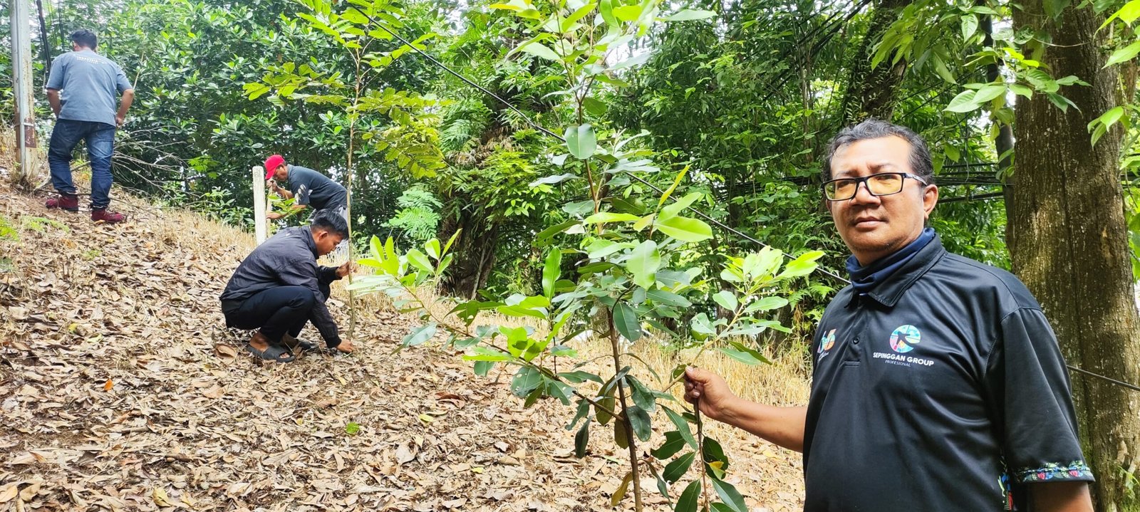 Laporan Monitoring KEHATI Hutan Kota Sepinggan Tahun 2024