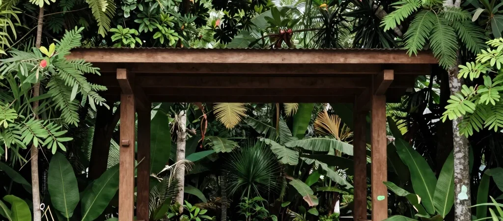 Mengenal Hutan Kota Sepinggan Raya Sebelum Berkunjung